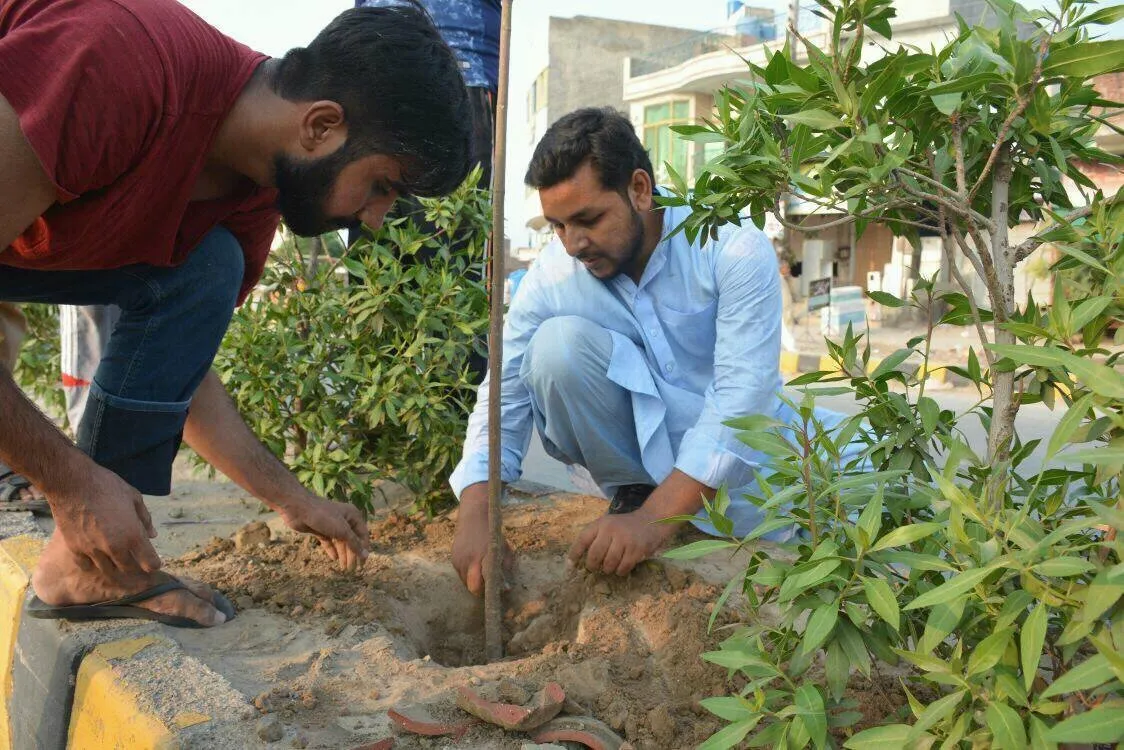 Green Seekers Activity